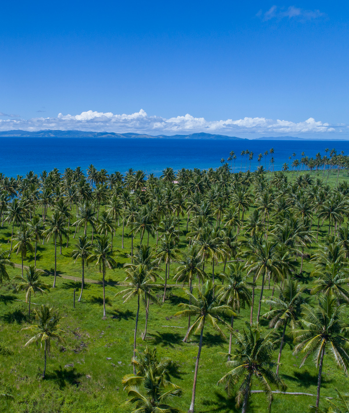 Bula! to Savusavu and Labasa, Fiji The Official Travel Site
